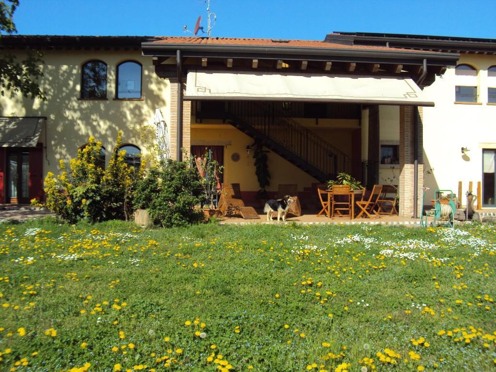 Agriturismo Ca' Del Ferro Zevio Extérieur photo