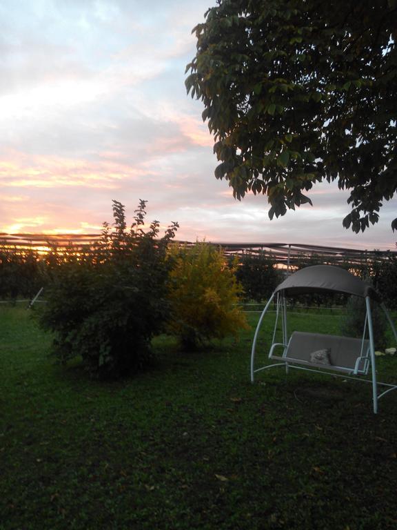 Agriturismo Ca' Del Ferro Zevio Extérieur photo