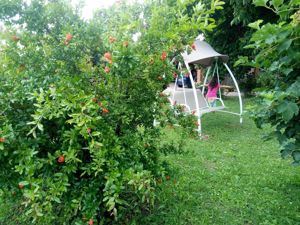 Agriturismo Ca' Del Ferro Zevio Extérieur photo